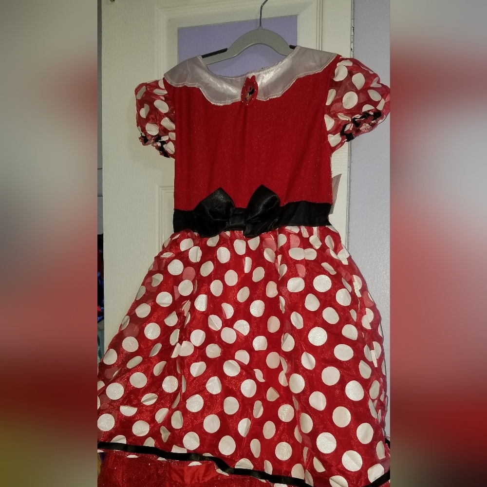 Minnie mouse costume